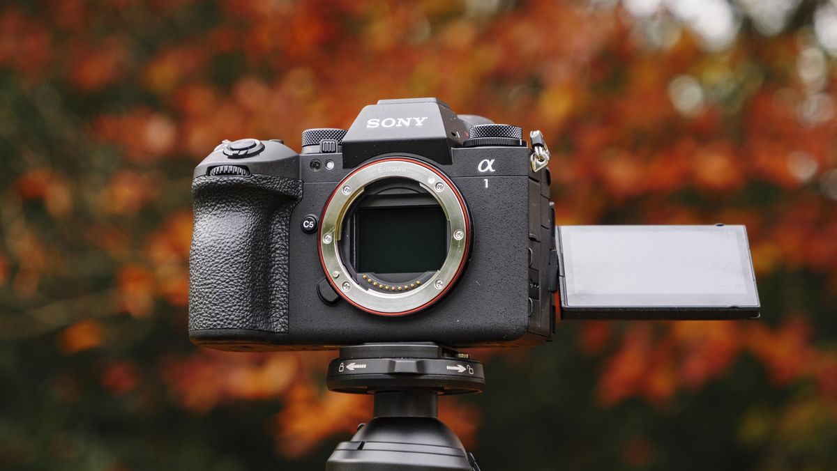 Sony A1 II overview – a refined flagship