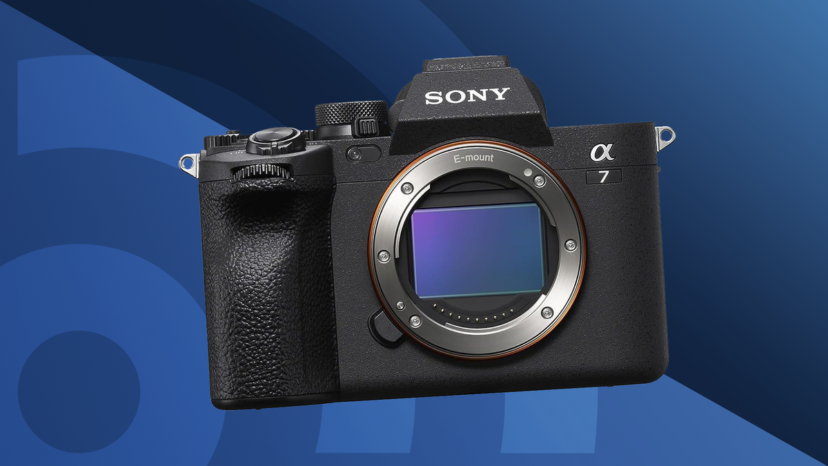 Finest Sony cameras 2024 extensively examined by our consultants